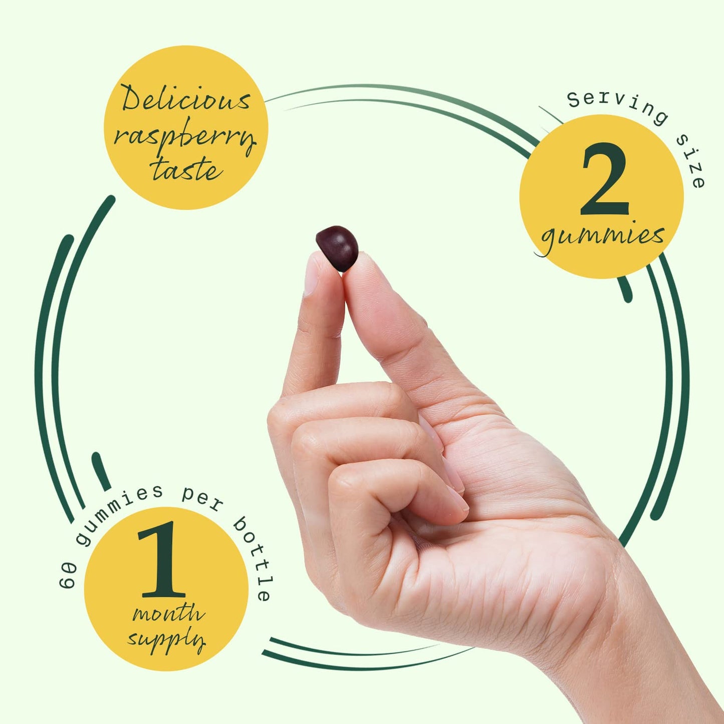 Betterbrand BetterMushrooms Mushroom Gummies to Support Gut Health, Metabolism, Energy, Focus - Lion's Mane, Cordyceps, Chaga & Maitake Mushroom Supplement - Maintains Healthy Immune System