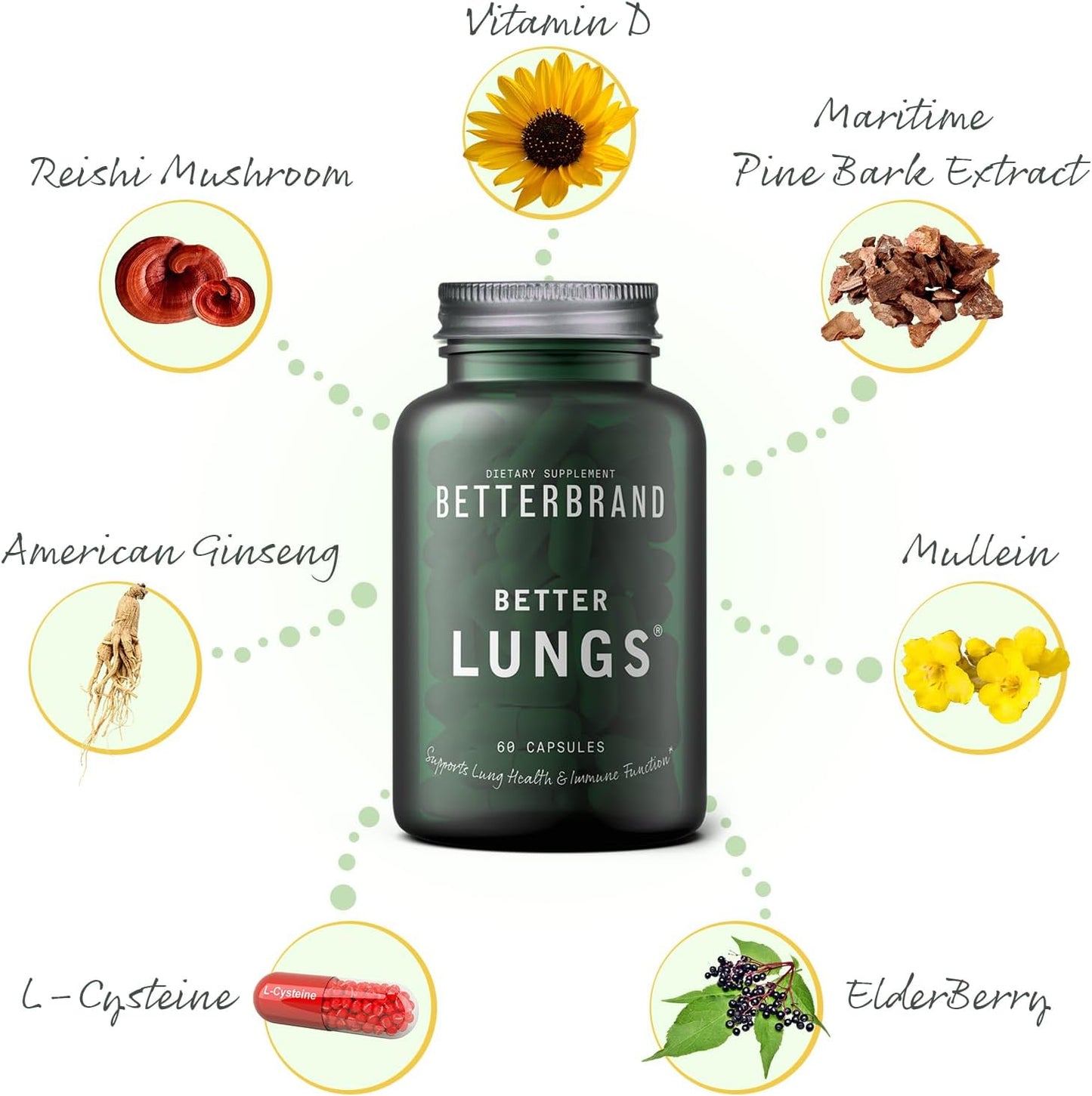 Betterbrand Better Lungs Health Pack - Better Lungs Capsules & Mullein Leaf Tincture Drops | Complete Respiratory Health Supplement | Pack - 30 Days Supply