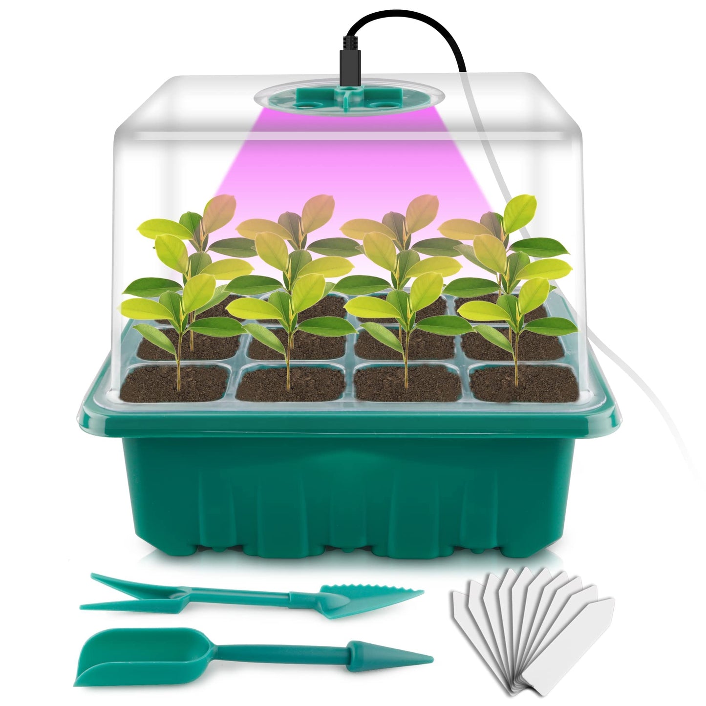 Seed Starter Tray with Grow Light, Seed Starter Kit, Plant Germination Starting Trays with Humidity Dome and Base for Greenhouse Grow Wheatgrass Hydroponic(12 Cells per Tray)(with Grow Lights)