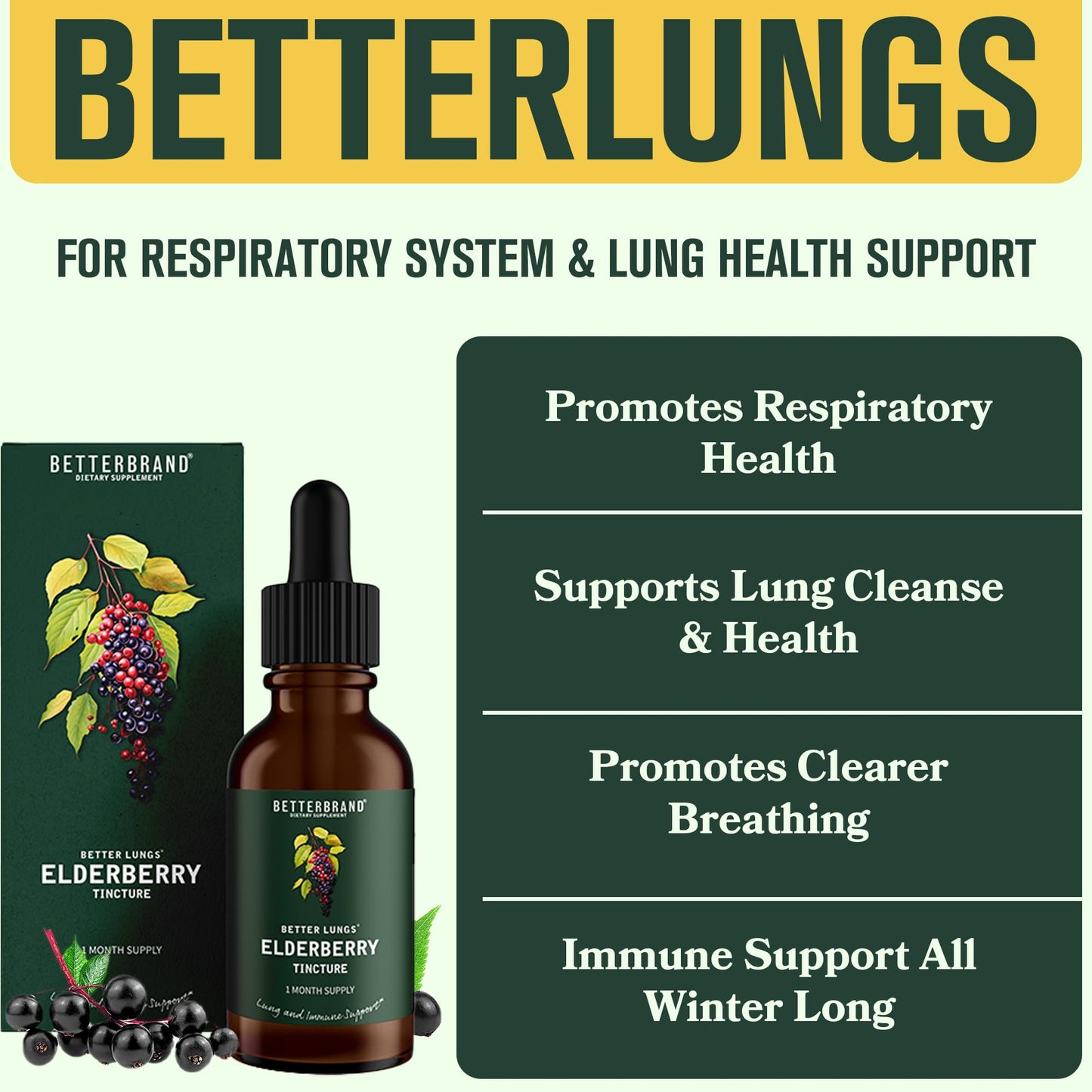 Betterbrand BetterLungs Elderberry Tincture Dietary Supplement - All Natural Sugar-Free Non-GMO Vegetarian for Winter Immune Support (30 Day)
