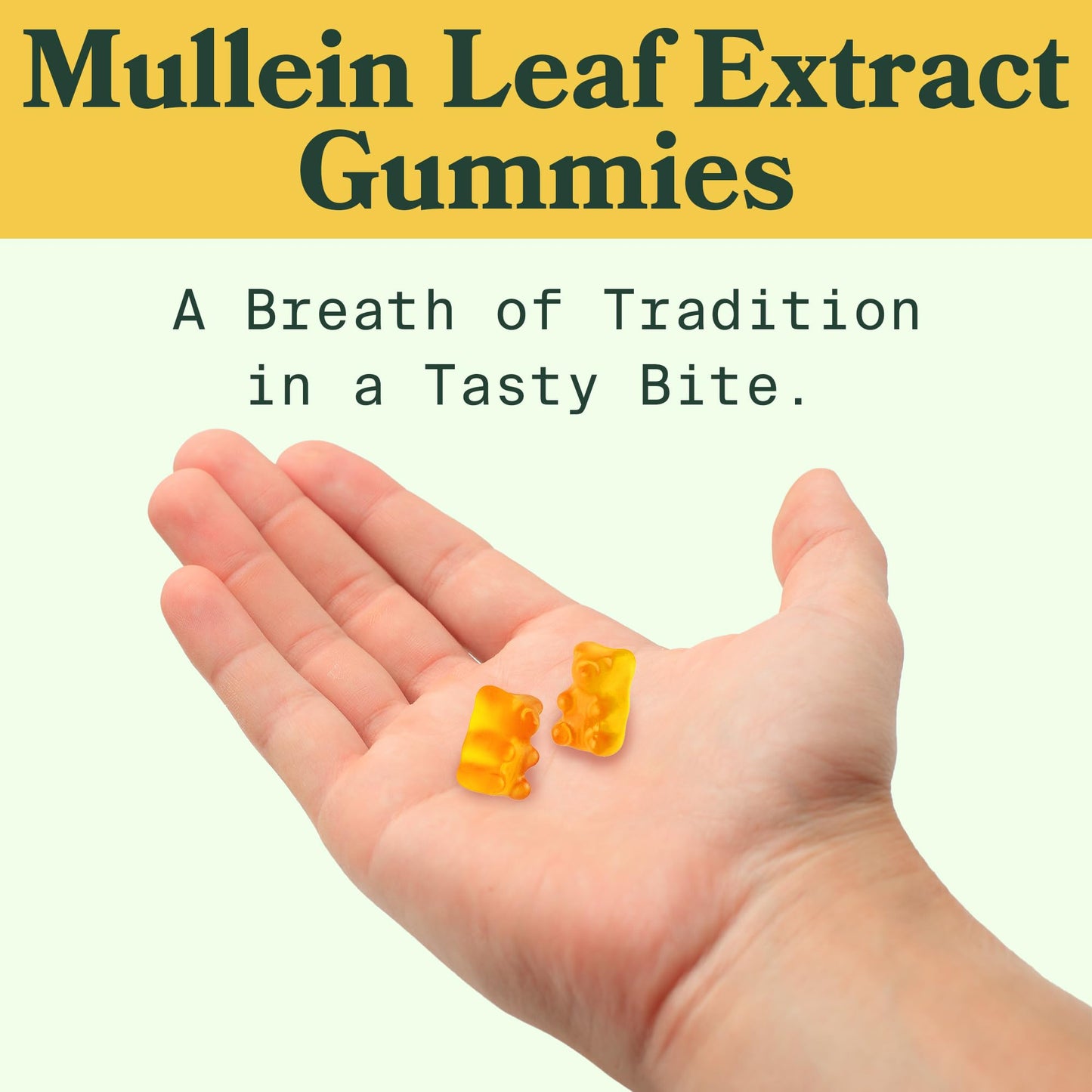 Betterbrand Better Lungs Health Pack - BetterLungs & Mullein Gummies - Complete Respiratory Wellness Pack: BetterLungs & Mullein Gummies - 30 Day Supply