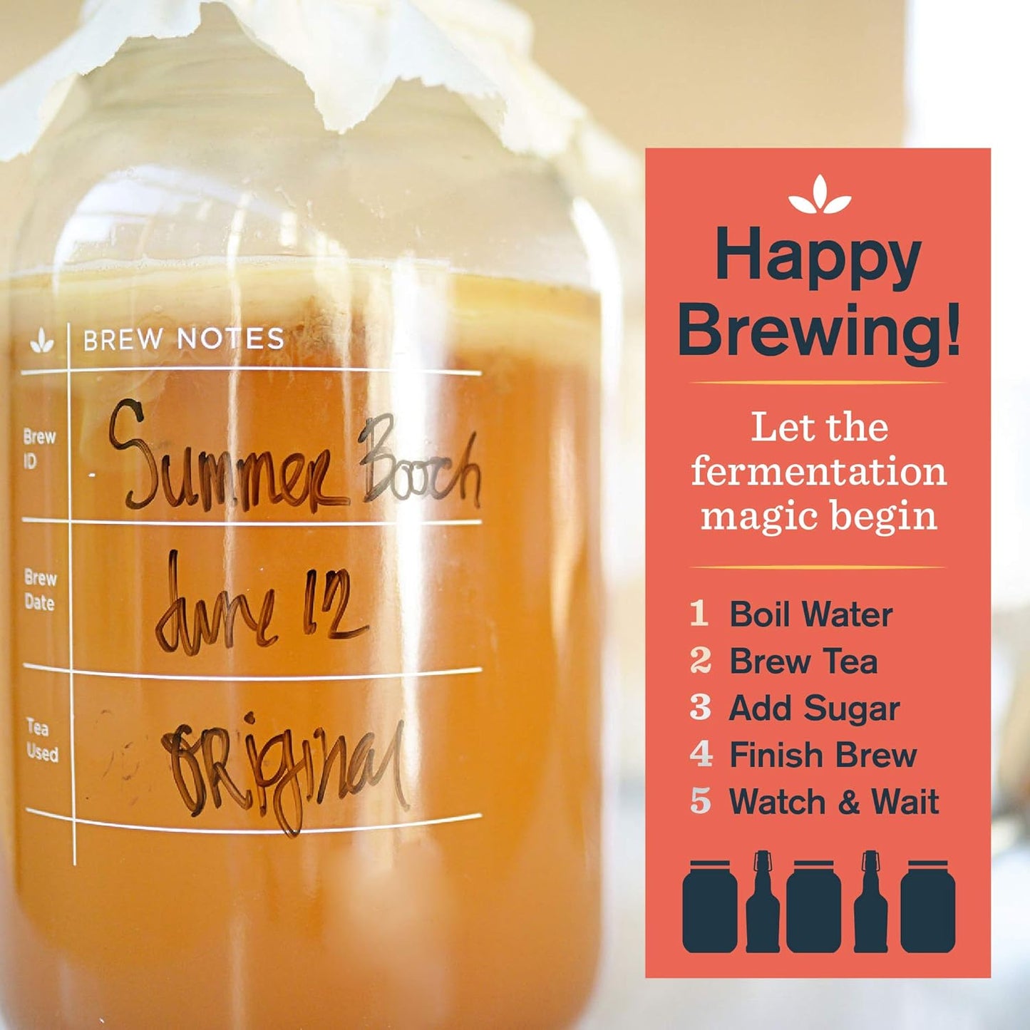 Deluxe Organic Kombucha Starter Kit - Six Swing Top Bottles, Stainless Steel Funnel, Custom Bottle Brush & Our Original Brewing Kit - The Kombucha Shop