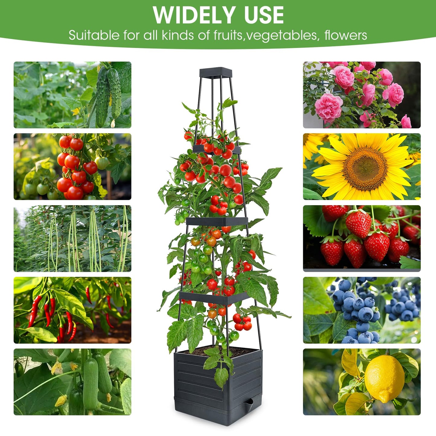 Raised Garden Bed Planter Box with Trellis, 58” Tomato Cage Planter Raised Garden Bed with Trellis for Climbing Vegetables Plants Tomato Cage w/Self-Watering, Indoor Outdoor Use (2)