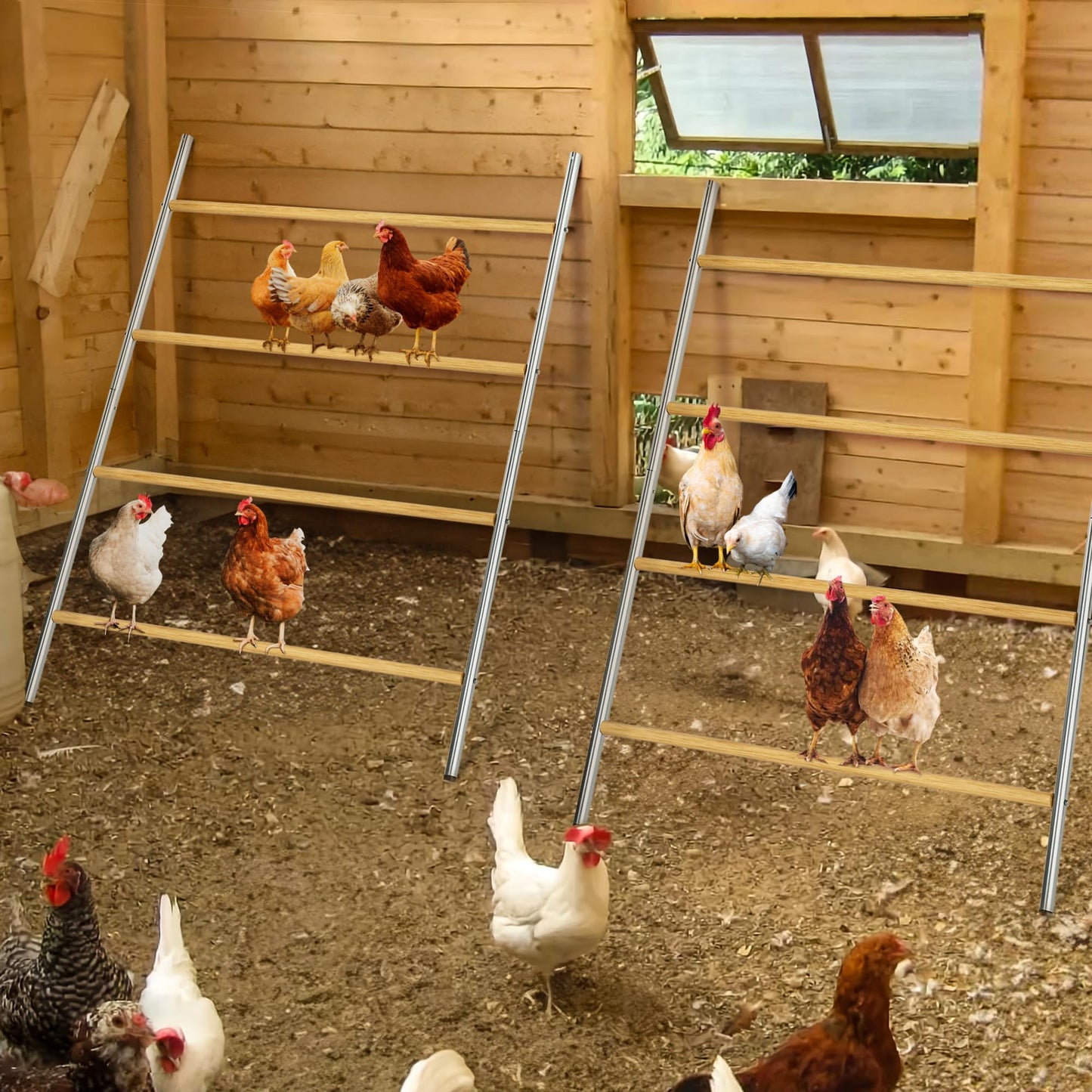 Chicken Coop Roosting Perch Essentials:Perfect for Backyard Poultry, Easy Installation &,Farm Roost Toys for Chickens (55' L x 40' W)