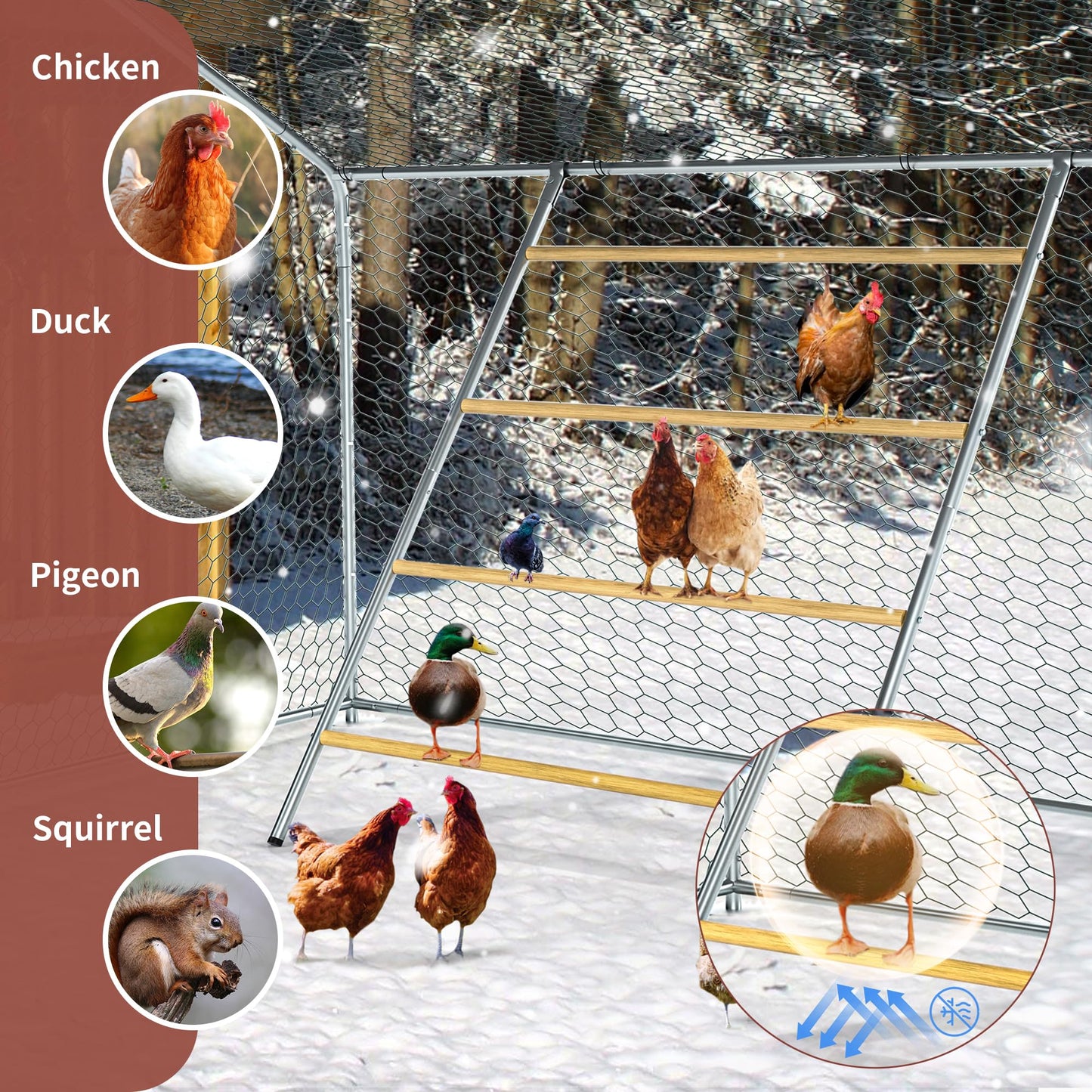 Chicken Coop Roosting Perch Essentials:Perfect for Backyard Poultry, Easy Installation &,Farm Roost Toys for Chickens (55' L x 40' W)