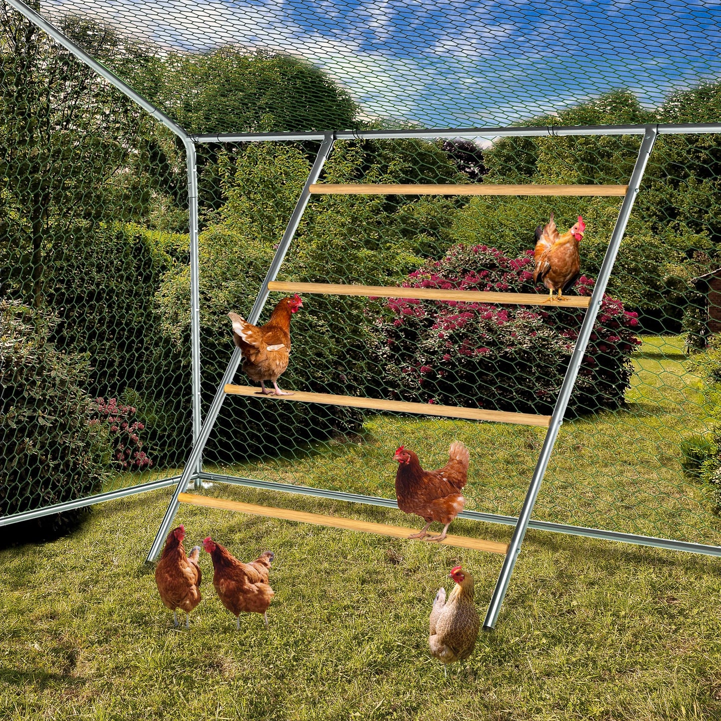 Chicken Coop Roosting Perch Essentials:Perfect for Backyard Poultry, Easy Installation &,Farm Roost Toys for Chickens (55' L x 40' W)