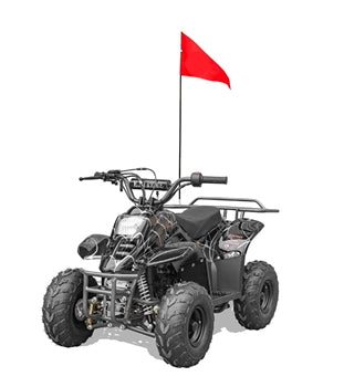 BANSHEE 110 Mini Sport ATV-6" fully auto