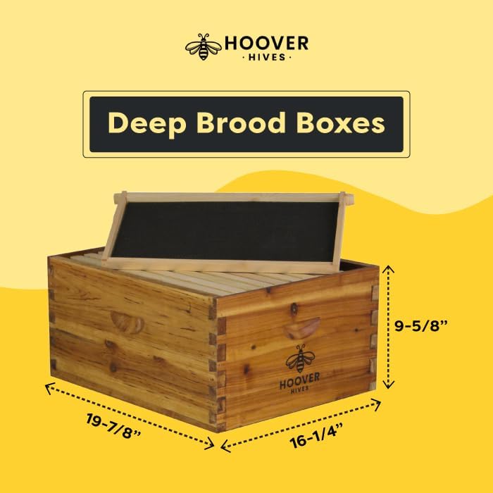 Hoover Hives: The Original Beeswax Coated Beehive Kit. Includes 2 Deep & 1 Medium Boxes with 10 Wooden Frames & Heavy Wax Coated Foundations. Easy Assembly with Predrilled Holes & Screws (Unassembled)