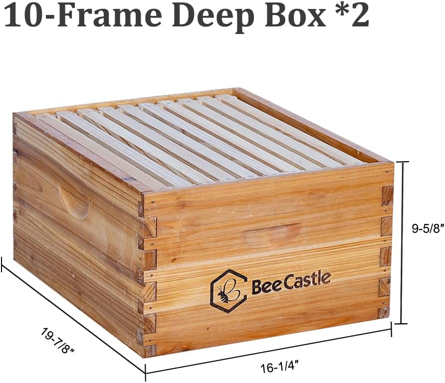 BeeCastle 10 Frame Langstroth Bee Hive Coated with Beeswax Includes Beehive Frames and Waxed Foundations (2 Deep Boxes & 1 Medium Box)