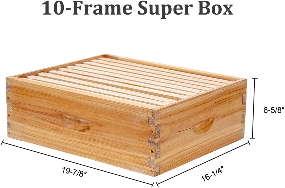 BeeCastle 10 Frame Langstroth Bee Hive Coated with Beeswax Includes Beehive Frames and Waxed Foundations (2 Deep Boxes & 1 Medium Box)