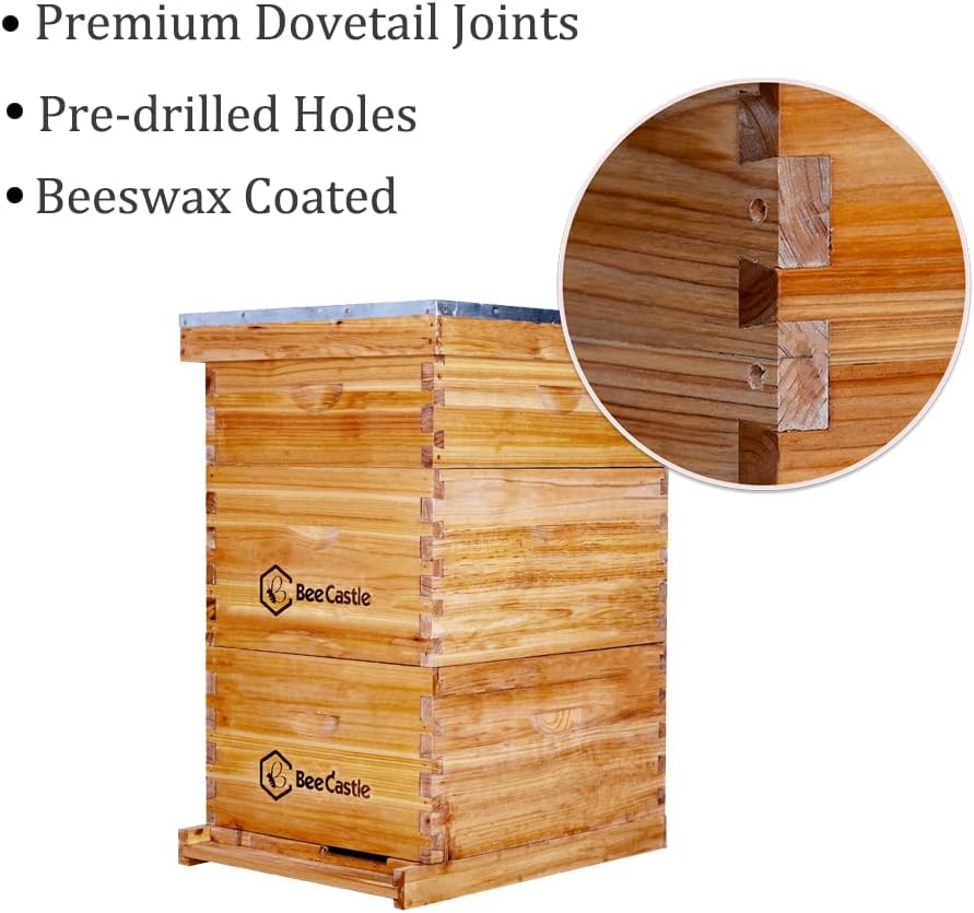 BeeCastle 10 Frame Langstroth Bee Hive Coated with Beeswax Includes Beehive Frames and Waxed Foundations (2 Deep Boxes & 1 Medium Box)