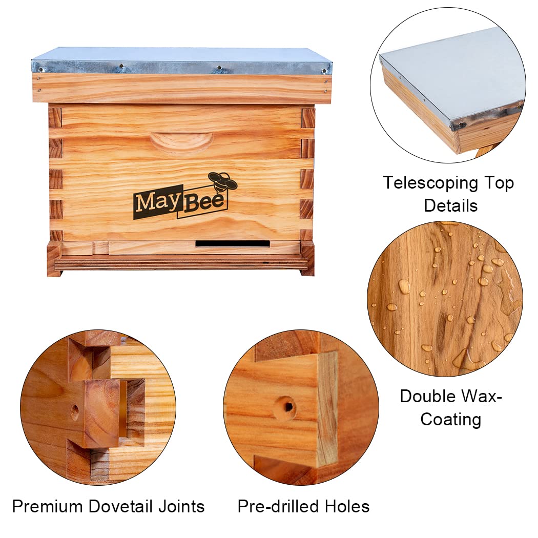 Beehive Starter Kit 10-Frame Bee Boxes and Frames Starter Kit Wax Coated Bee Hives and Supplies Starter Kit Including Beekeeping Tools Kit with Beekeeping Veil