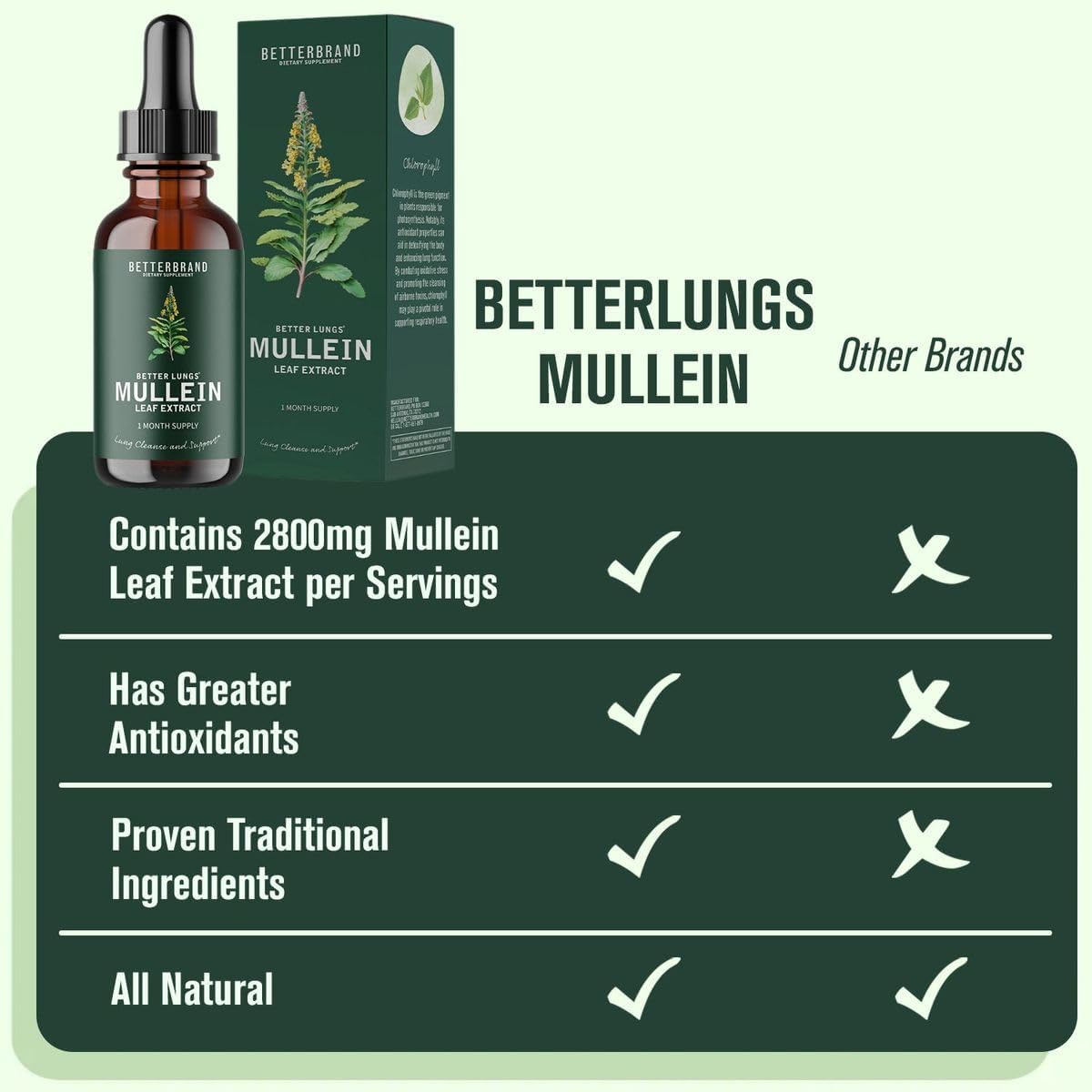 Betterbrand BetterLungs Mullein Leaf Extract - Support Lung Cleanse & Respiratory Function for Healthy Breathing - Natural Supplement, Tincture Drops | Non-GMO, Vegetarian | 1 Month Supply