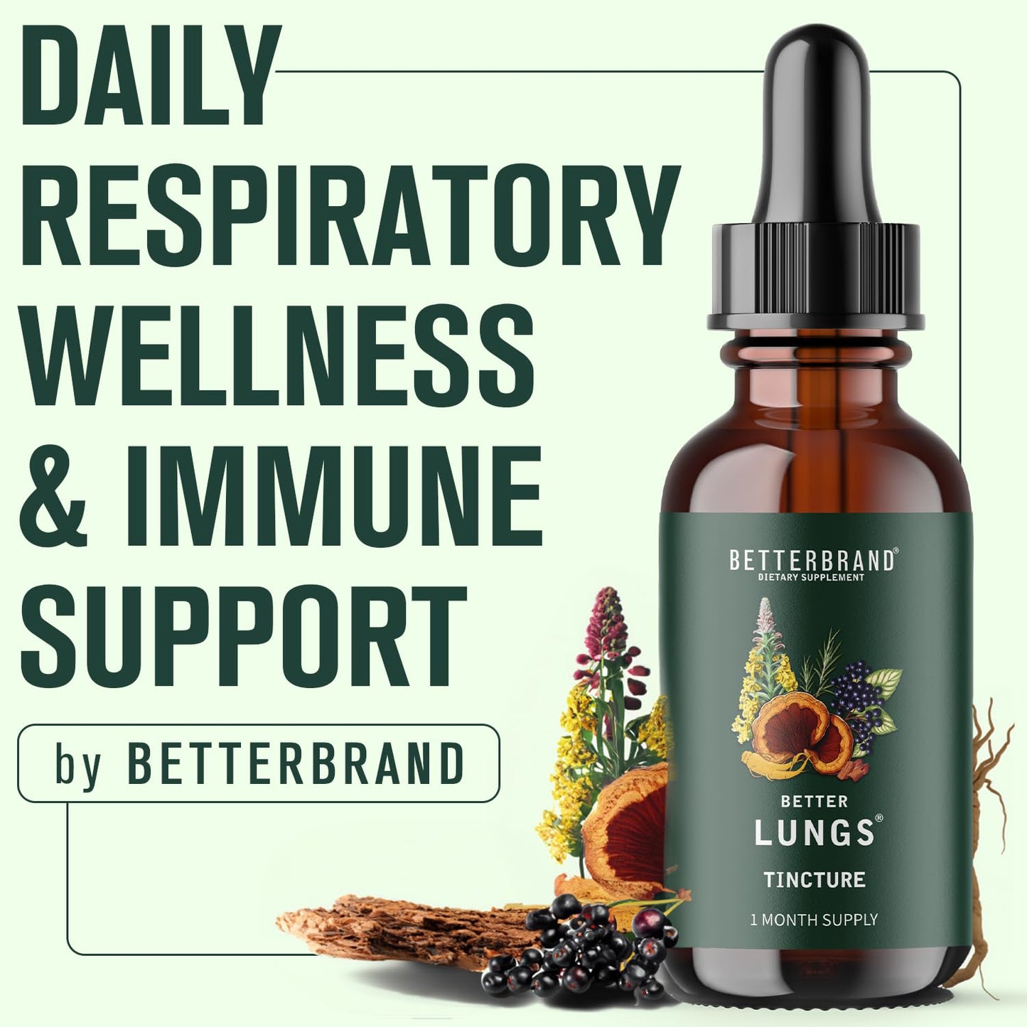 Betterbrand BetterLungs Daily Respiratory Health Supplement | with Mullein Leaf, Elderberry, Vitamin D, Ginseng and Reishi Mushroom | Lung Health, Allergy, Sinus, and Mucus Relief (60 Capsules)