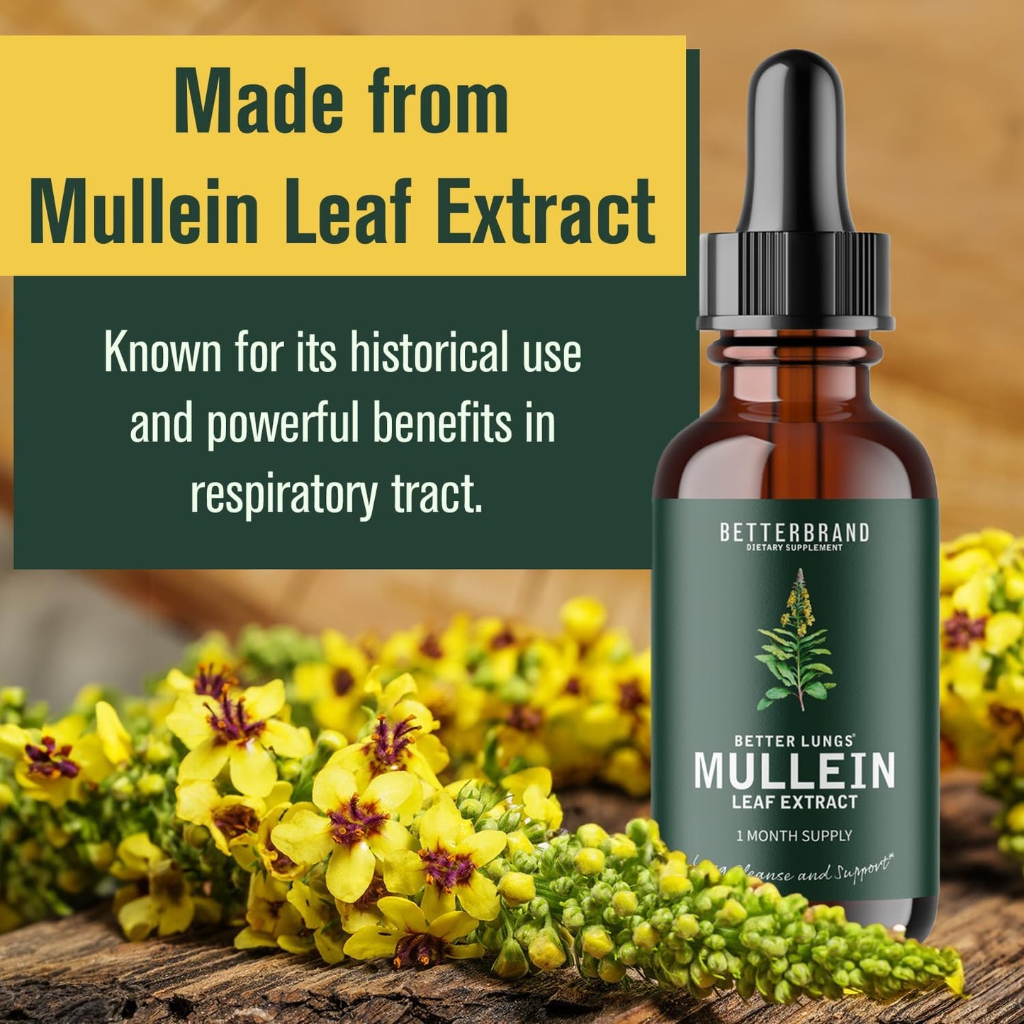 BetterLungs Mullein Leaf Extract and Elderberry Tincture Bundle - Lung Health Support