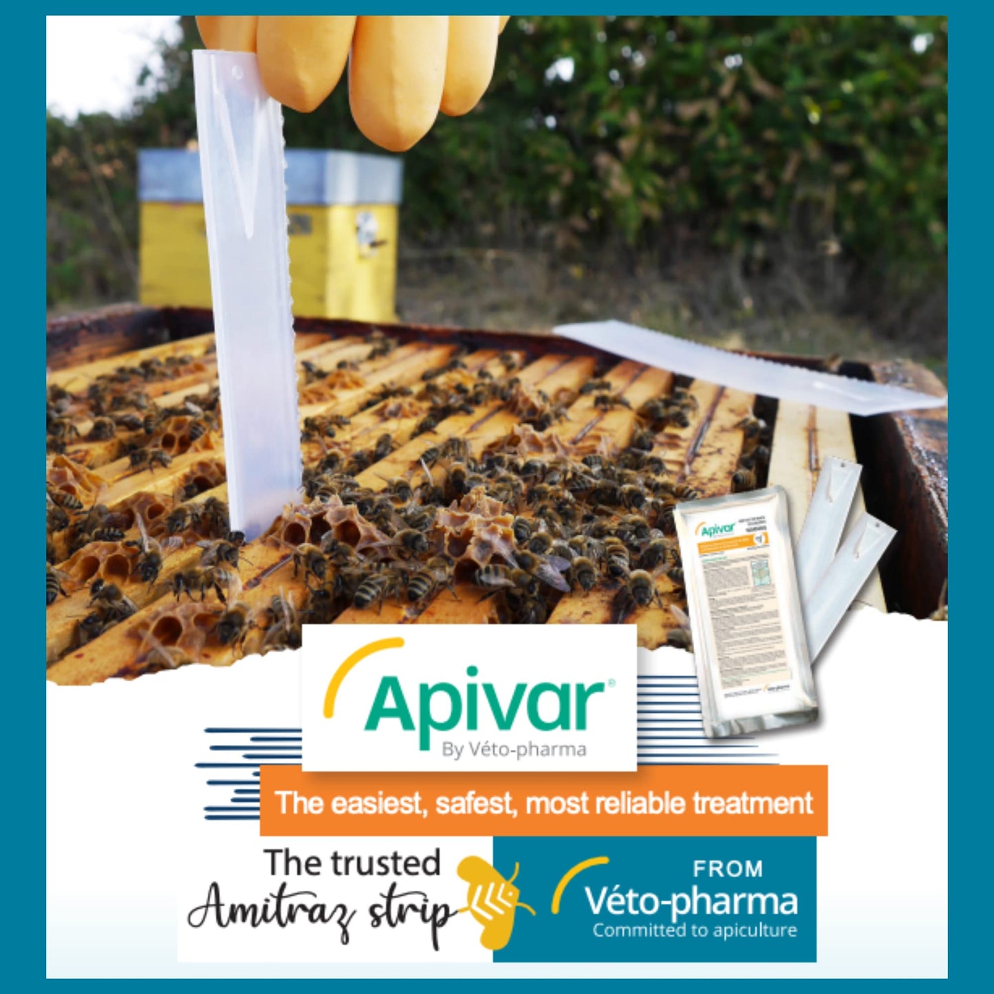 Apivar Strips Varroa Mite Treatment for Honey Bees with Easy Rip Strips - 97-99% Effective Againts Mites(4 Pack)