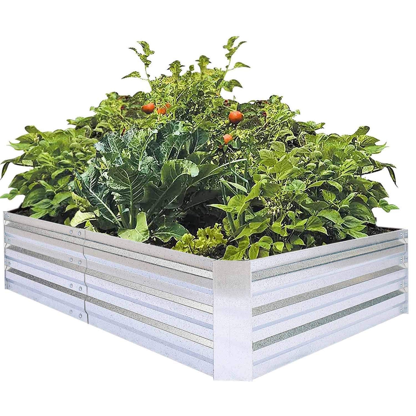 FOYUEE Galvanized Raised Garden Beds for Vegetables Large Metal Planter Box Steel Kit Flower Herb, 8x4x1ft