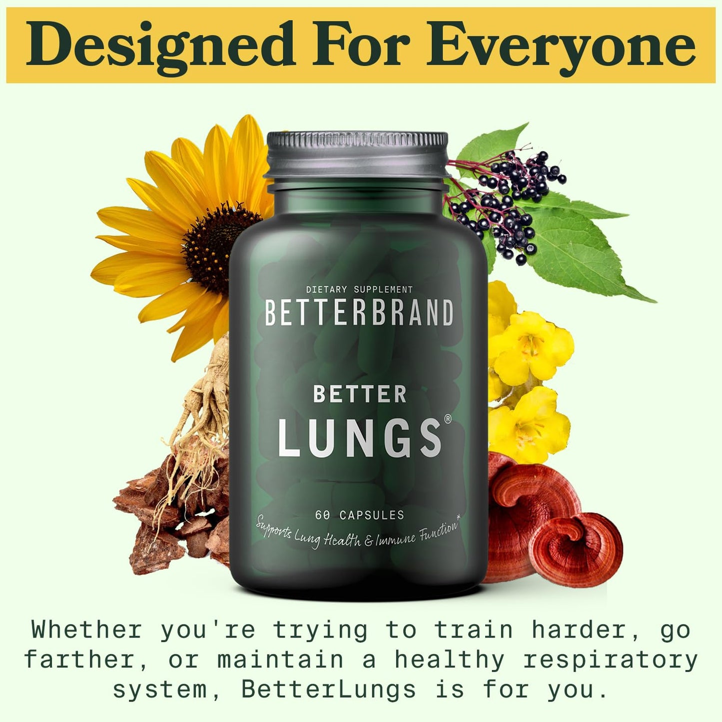 Betterbrand BetterLungs Daily Respiratory Health Supplement | with Mullein Leaf, Elderberry, Vitamin D, Ginseng and Reishi Mushroom | Lung Health, Allergy, Sinus, and Mucus Relief (60 Capsules)