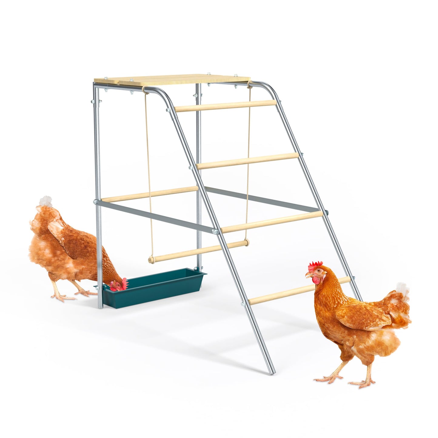 Chicken Coop Roosting Perch Essentials：Perfect for Backyard Poultry, Easy Installation &,Farm Roost Toys for Chickens (55' L x 40' W)