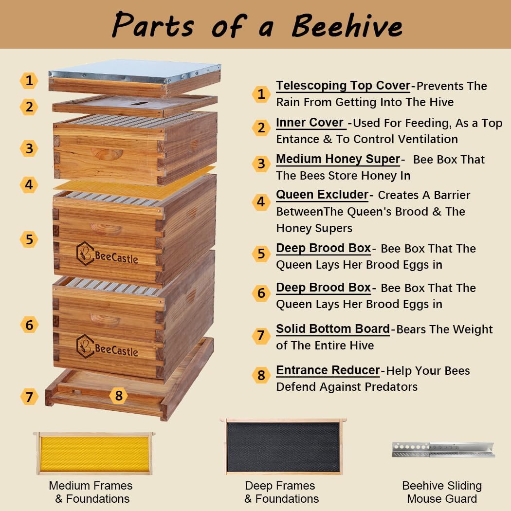 BeeCastle 10 Frame Langstroth Bee Hive Coated with Beeswax Includes Beehive Frames and Waxed Foundations (2 Deep Boxes & 1 Medium Box)