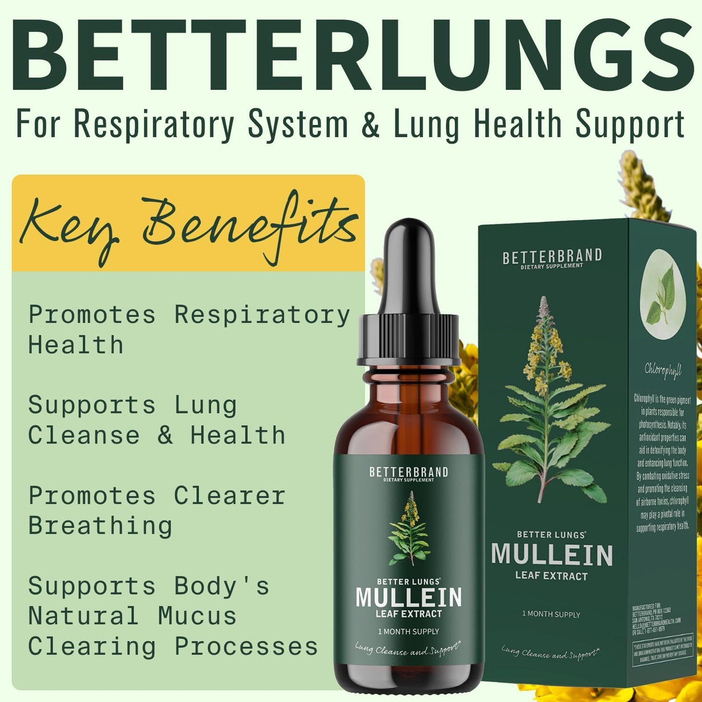 Betterbrand Better Lungs Health Pack - Better Lungs Capsules & Mullein Leaf Tincture Drops | Complete Respiratory Health Supplement | Pack - 30 Days Supply