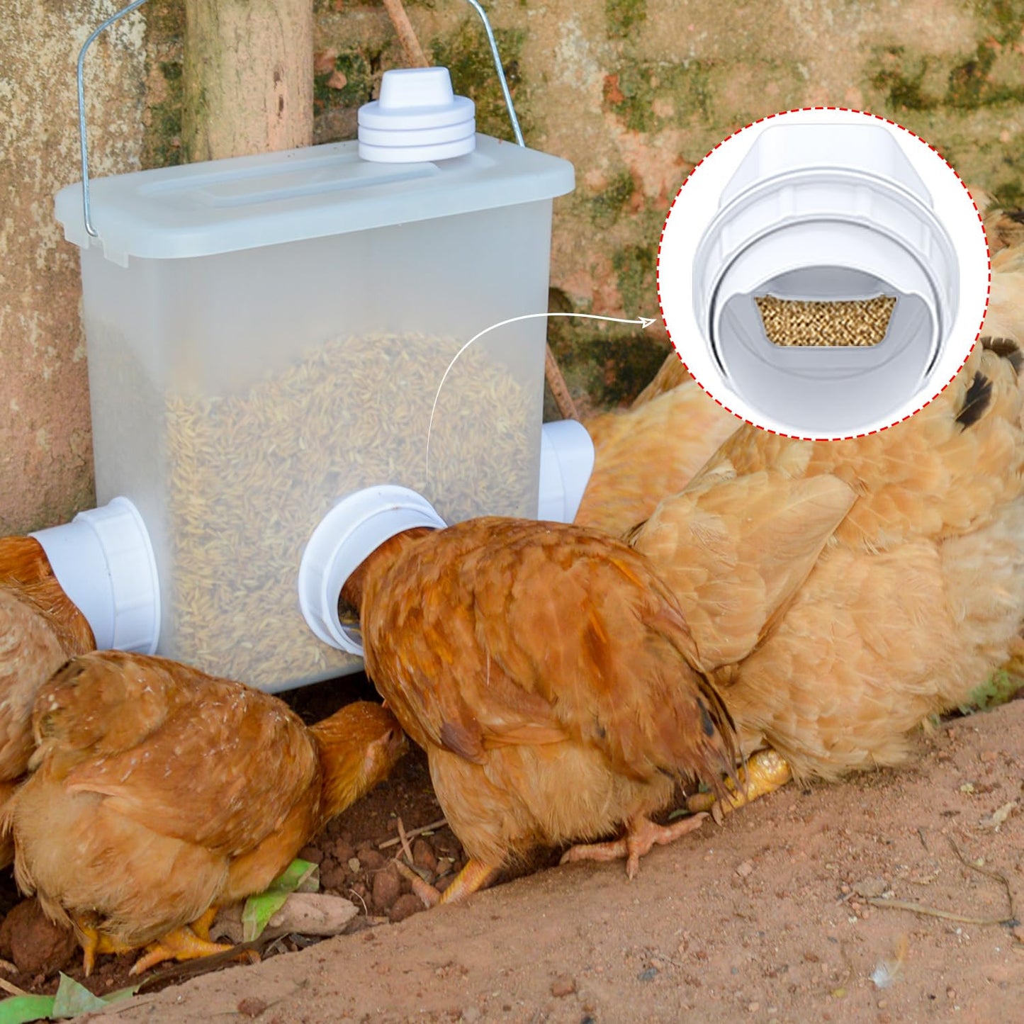 DIY Chicken Feeder Rain Proof Poultry Feeder Port Gravity Feed Kit for Buckets, Barrels, Bins, Troughs