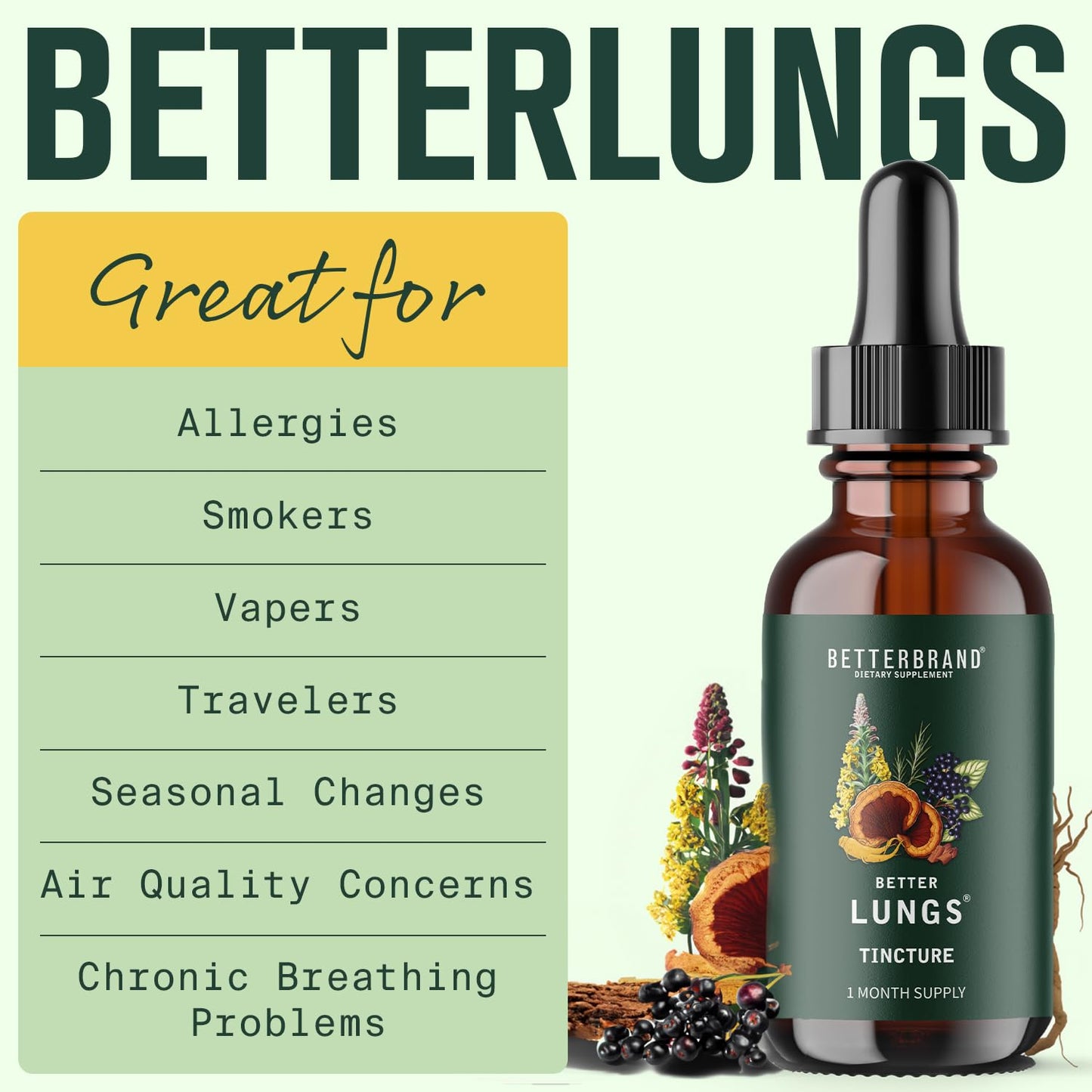 Betterbrand BetterLungs Daily Respiratory Health Supplement | with Mullein Leaf, Elderberry, Vitamin D, Ginseng and Reishi Mushroom | Lung Health, Allergy, Sinus, and Mucus Relief (60 Capsules)