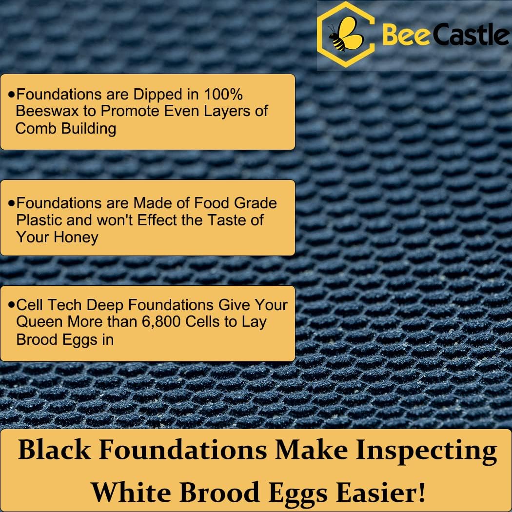 BeeCastle 10 Frame Langstroth Bee Hive Coated with Beeswax Includes Beehive Frames and Waxed Foundations (2 Deep Boxes & 1 Medium Box)