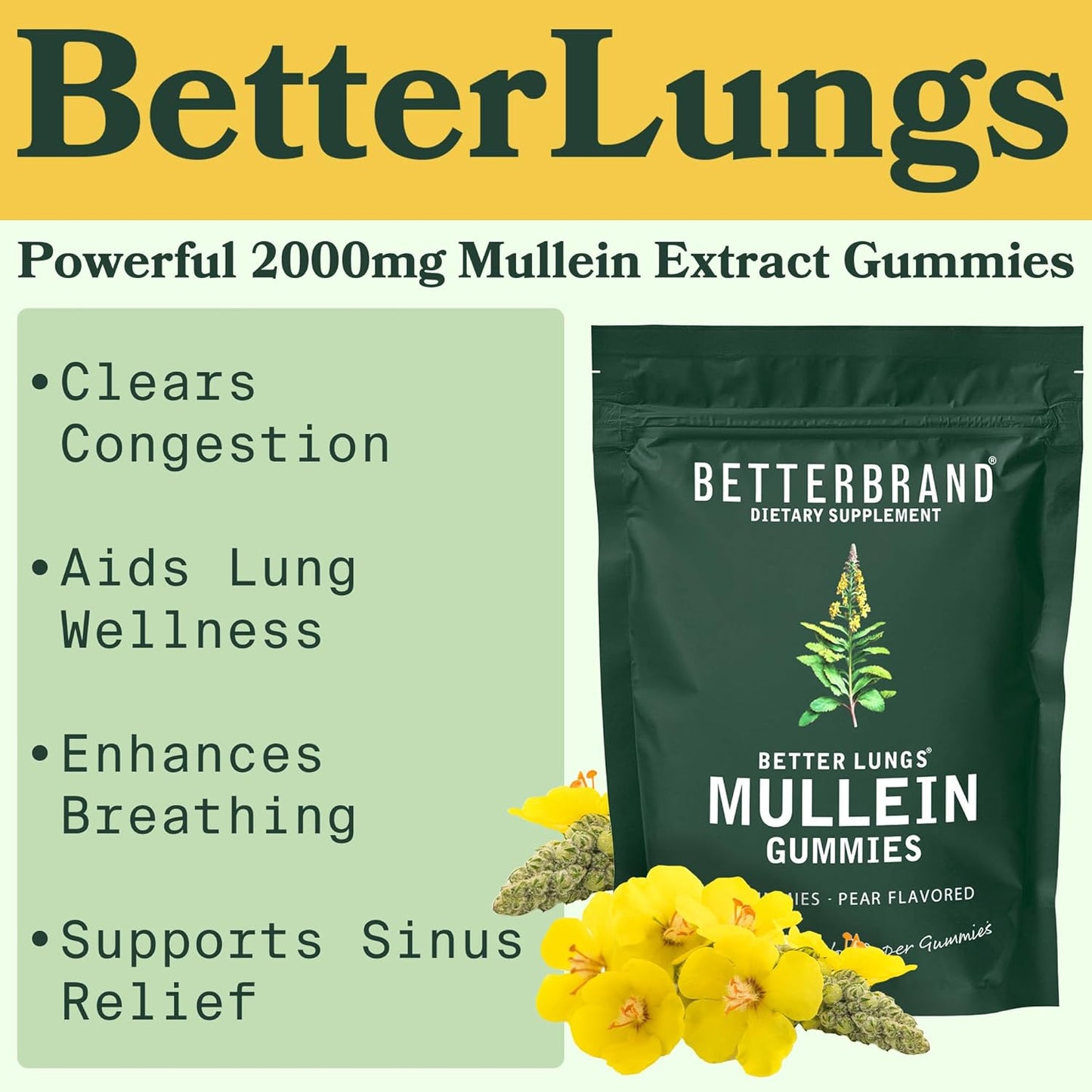 BetterLungs Mullein Leaf Extract and Gummies Bundle - Lung Health Support