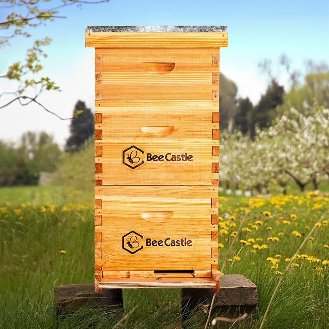 BeeCastle 10 Frame Langstroth Bee Hive Coated with Beeswax Includes Beehive Frames and Waxed Foundations (2 Deep Boxes & 1 Medium Box)