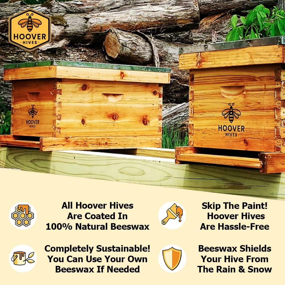 Hoover Hives: The Original Beeswax Coated Beehive Kit. Includes 2 Deep & 1 Medium Boxes with 10 Wooden Frames & Heavy Wax Coated Foundations. Easy Assembly with Predrilled Holes & Screws (Unassembled)