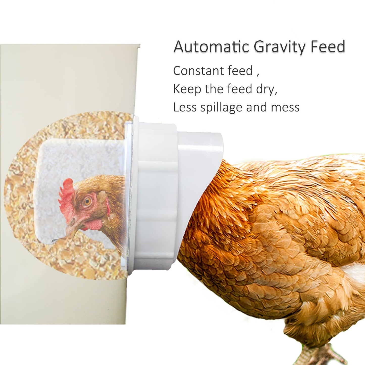 DIY Chicken Feeder Rain Proof Poultry Feeder Port Gravity Feed Kit for Buckets, Barrels, Bins, Troughs