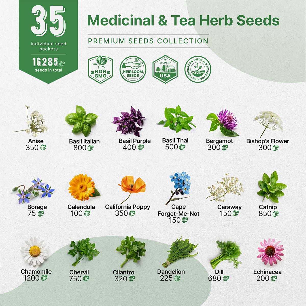 35 Medicinal & Tea Herb Seeds Variety Pack for Indoor & Outdoors. 16,335+ Non-GMO Heirloom Garden Seeds: Anise, Bergamot, Borage, Cilantro, Chamomile, Dandelion, Rosemary Seeds & More