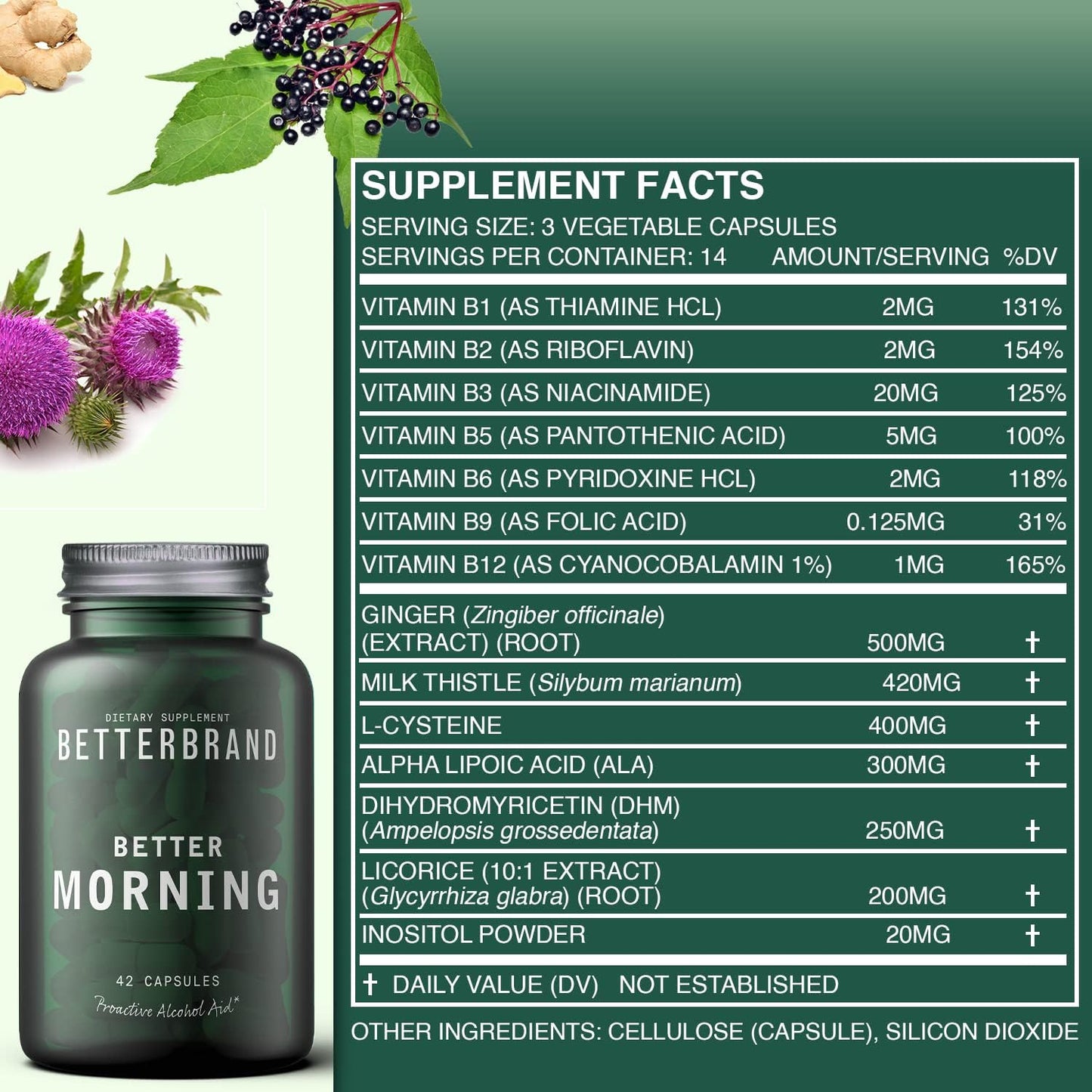 Betterbrand BetterMorning All-Natural Ingredients Including DHM | Prevents Headaches & Nausea and Supports Liver Aid | Gluten-Free, Vegetarian (10x Single Serving Packets)