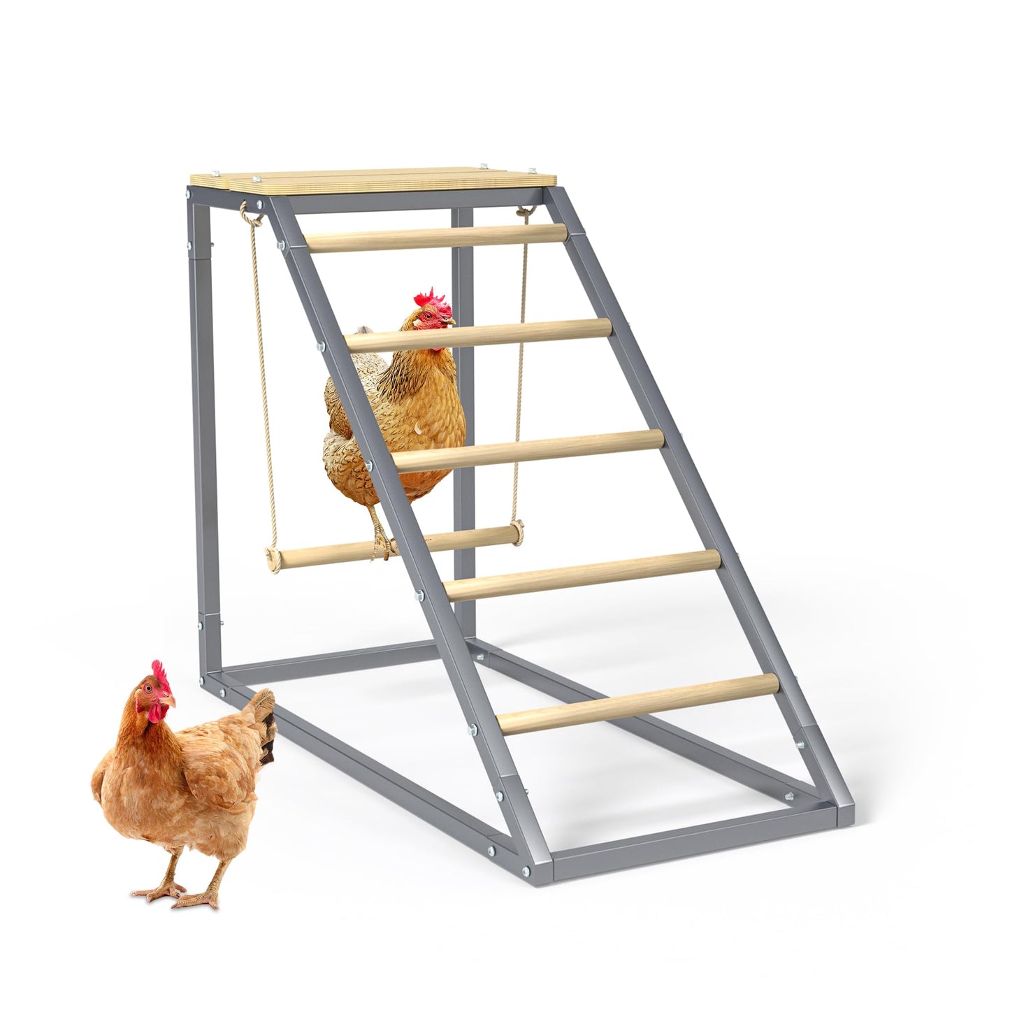 Chicken Coop Roosting Perch Essentials：Perfect for Backyard Poultry, Easy Installation &,Farm Roost Toys for Chickens (55' L x 40' W)