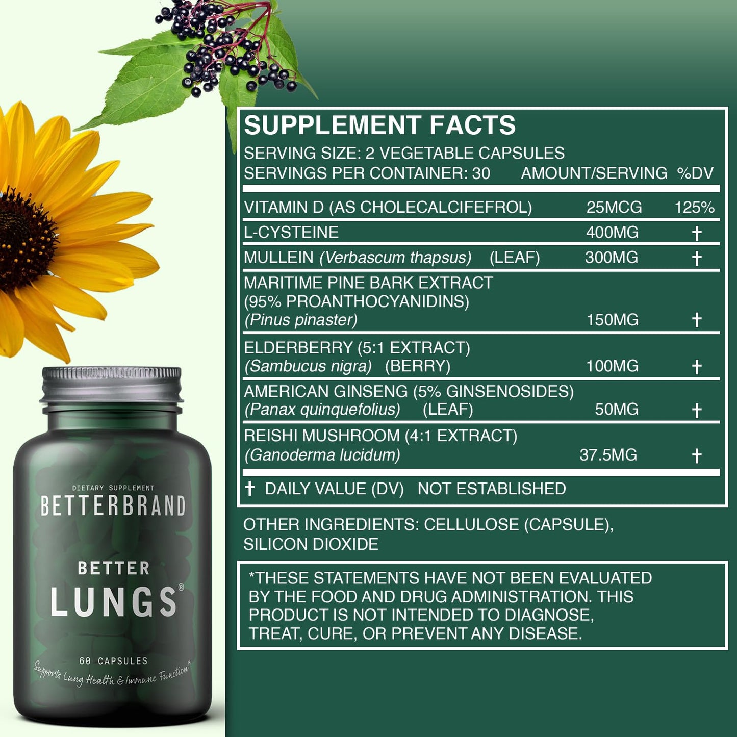 Betterbrand BetterLungs Daily Respiratory Health Supplement | with Mullein Leaf, Elderberry, Vitamin D, Ginseng and Reishi Mushroom | Lung Health, Allergy, Sinus, and Mucus Relief (60 Capsules)