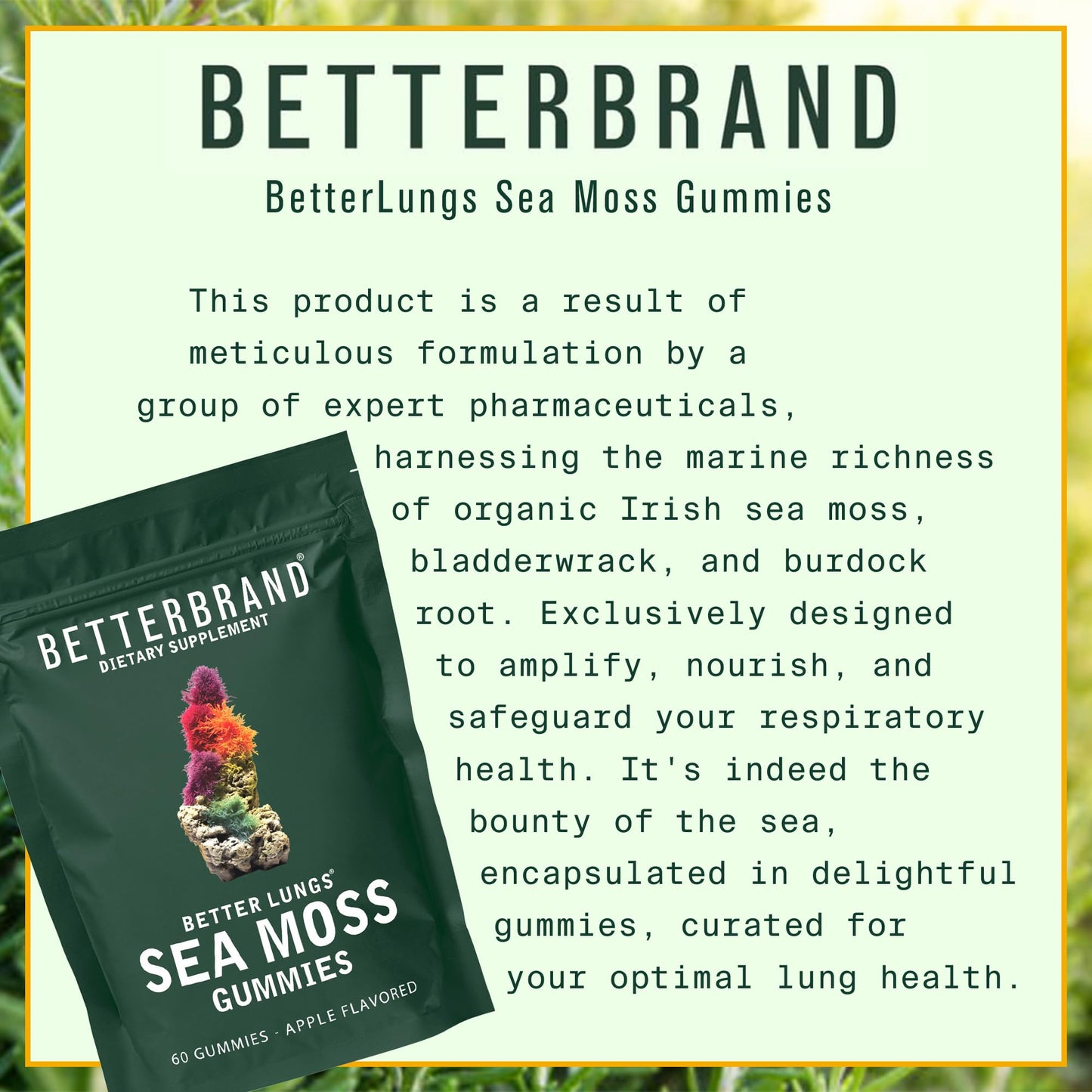 Betterbrand BetterLungs Sea Moss Gummies 1600mg Organic Irish Sea Moss for Lung and Immune System Support 1000mg Organic Bladderwrack and Burdock Root - 60 Count Apple Flavored (30 Days Supply)