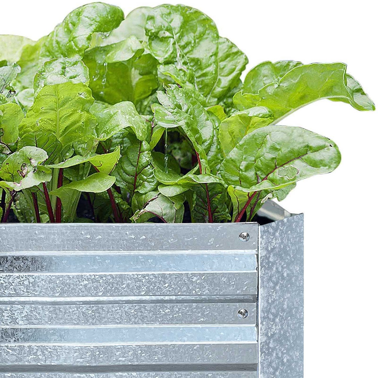 FOYUEE Galvanized Raised Garden Beds for Vegetables Large Metal Planter Box Steel Kit Flower Herb, 8x4x1ft