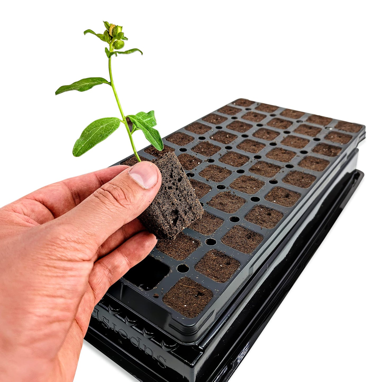 VPS OrganiPlug Hydroponic Seed Starter Plugs, 50 Pack, Rapid Root Planting Pods for Seedling, Clone, Cutting, Promotes Plant, Flower, Vegetable Growth w/Organic Soil Ingredients, Fits Standard Tray