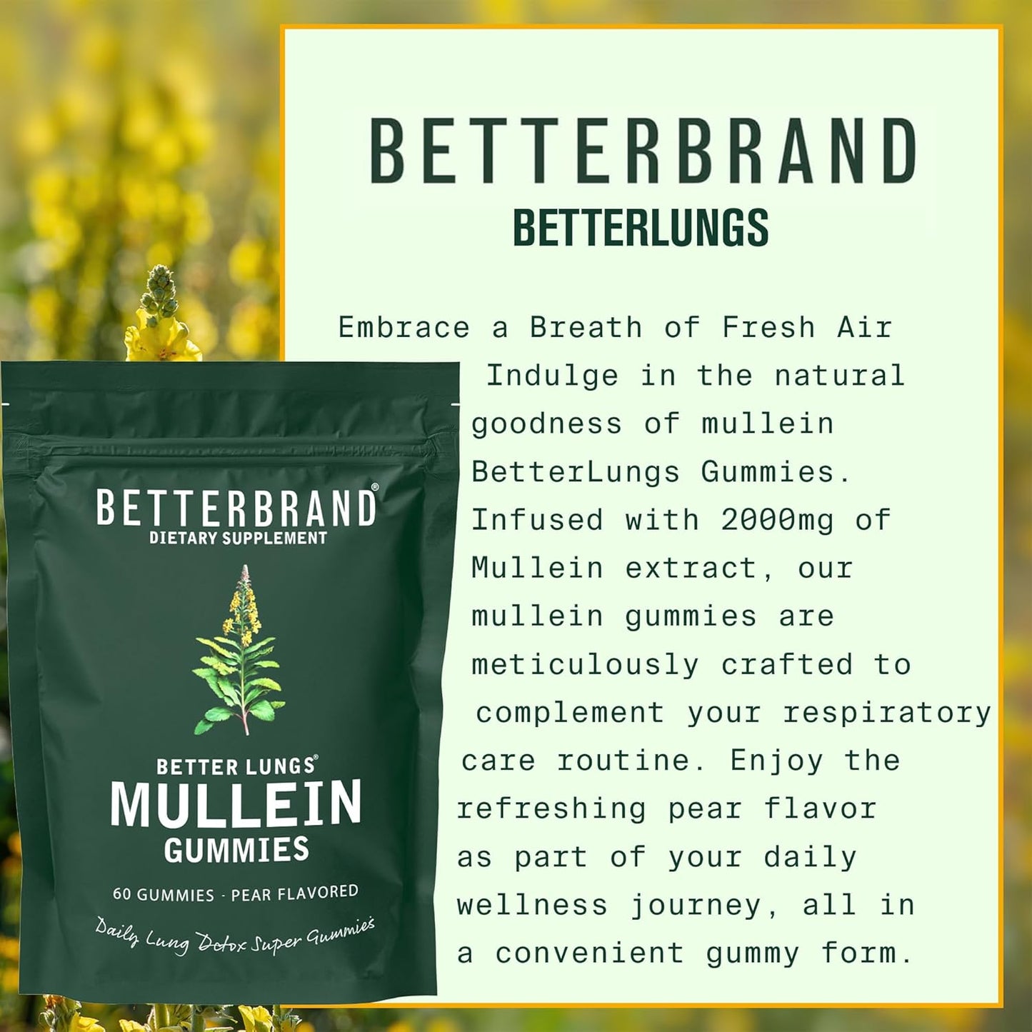 BetterLungs Mullein Leaf Extract and Gummies Bundle - Lung Health Support