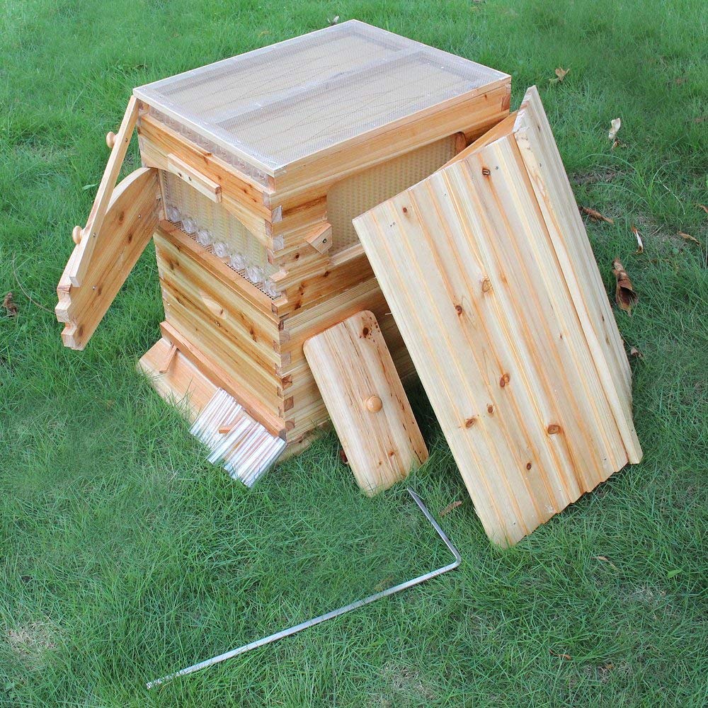 Golden Palace Bee Hive, Beehive with 7pcs Auto Super Frames, Bee House with 1pcs Super Boxes, 1pcs Brood Boxes(No Brood Frames), Bee Hives Starter Beekeeping Kits