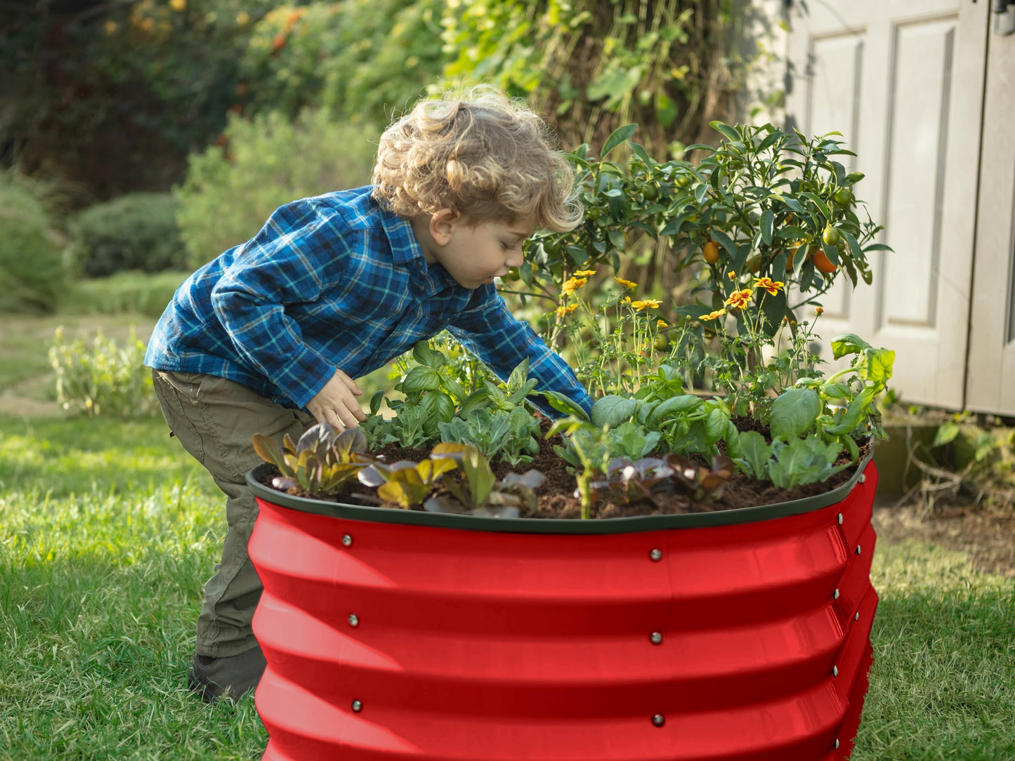 Galvanized Raised Garden Beds Outdoor // 4×2×1 ft Planter Raised Beds for Gardening, Vegetables, Flowers // Large Metal Garden Box (Silver)