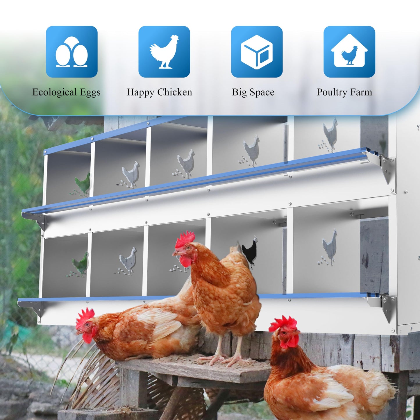 Chicken Nesting Box 8 Compartments Laying Boxes for Chicken Hens Ducks Poultry Protect Eggs Chicken Coop Easy Egg Collection Wall Mount Metal Nest Box for Chicken Coop