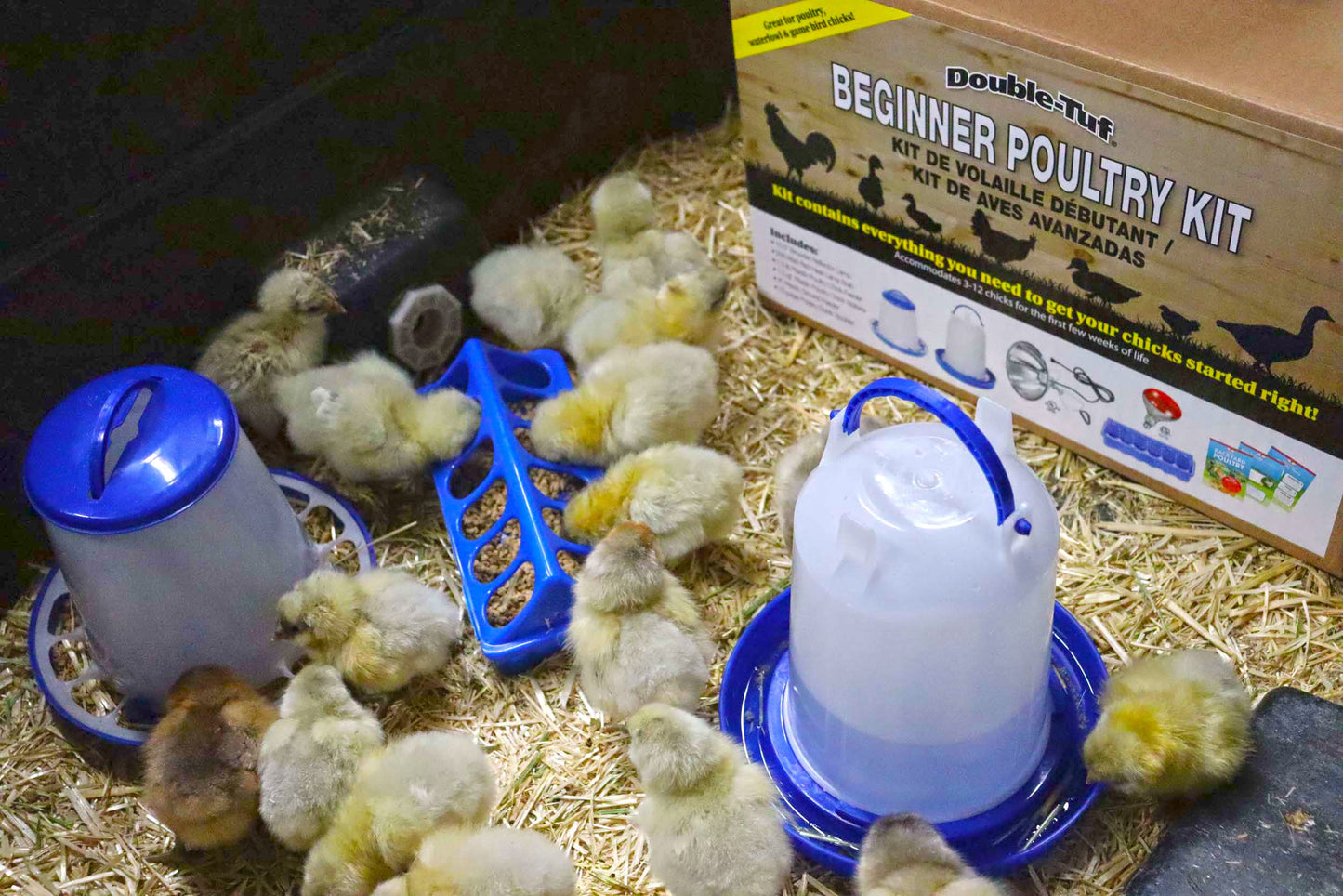 Double-Tuf® Chicken and Poultry Starter Kit | Heat Lamp, Light Bulb, Feeders, Waterer, and Guide Book for Backyard Outdoor Chick Farmers | Backyard Chicken Beginner Supply Kit