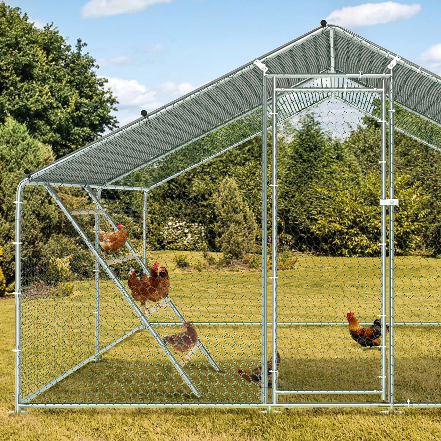 Chicken Coop Roosting Perch Essentials：Perfect for Backyard Poultry, Easy Installation &,Farm Roost Toys for Chickens (55' L x 40' W)