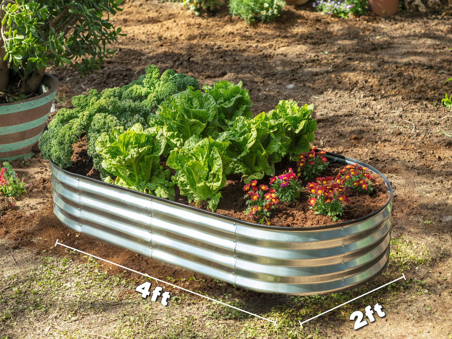 Galvanized Raised Garden Beds Outdoor // 4×2×1 ft Planter Raised Beds for Gardening, Vegetables, Flowers // Large Metal Garden Box (Silver)