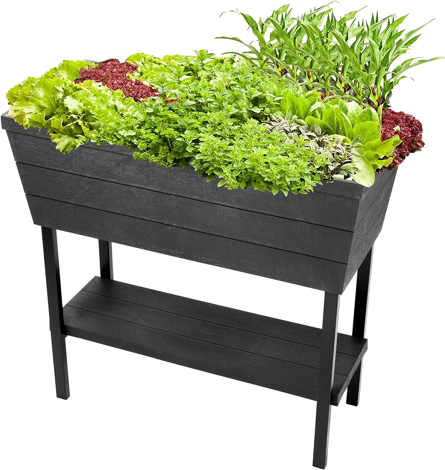 Keter Urban Bloomer 12.7 Gallon Raised Garden Bed and Outdoor Herb Garden Planter with Self Watering Gauge and Drainage Plug, Dark Grey