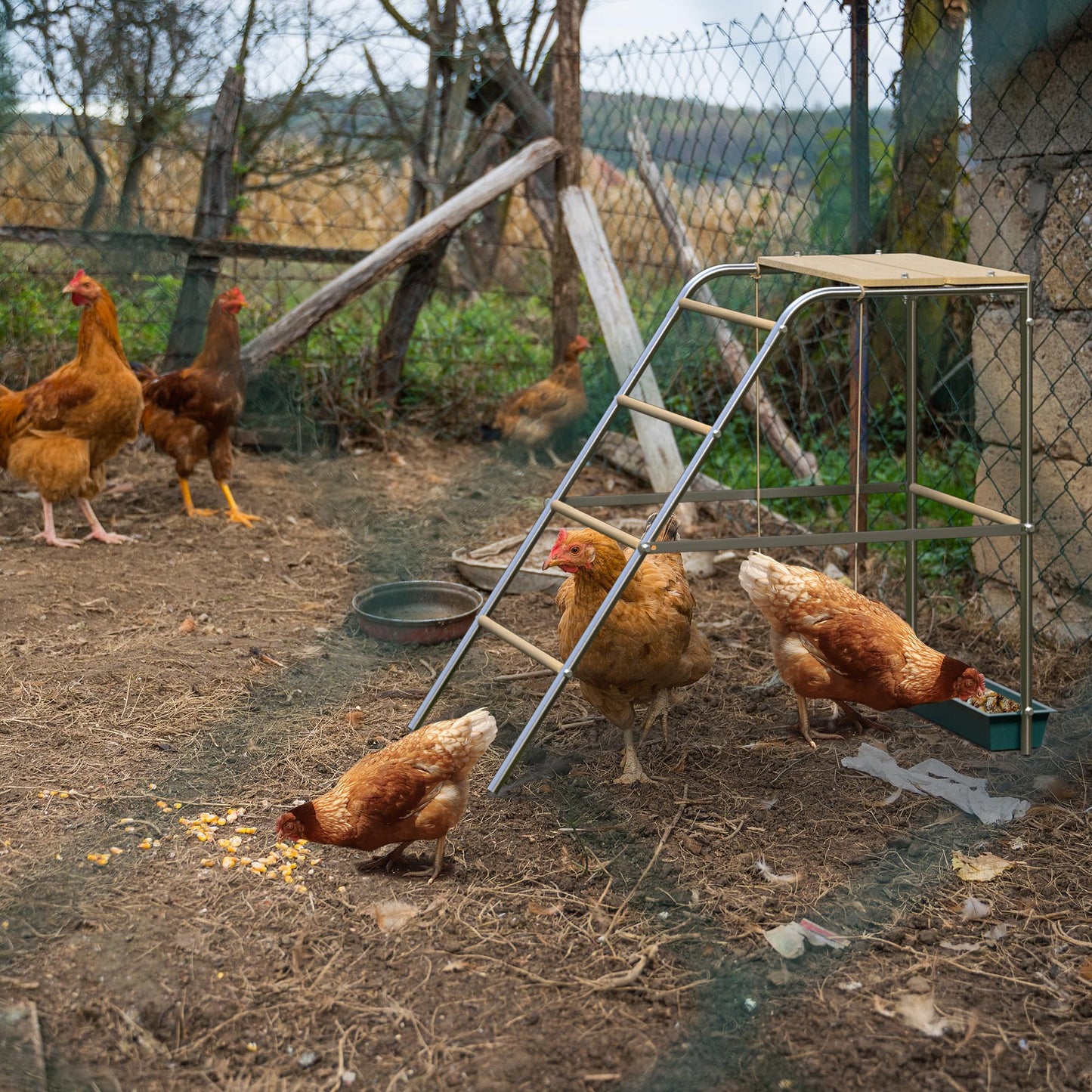 Chicken Coop Roosting Perch Essentials：Perfect for Backyard Poultry, Easy Installation &,Farm Roost Toys for Chickens (55' L x 40' W)