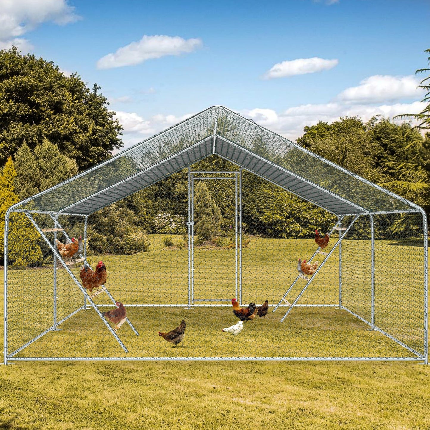 Chicken Coop Roosting Perch Essentials：Perfect for Backyard Poultry, Easy Installation &,Farm Roost Toys for Chickens (55' L x 40' W)