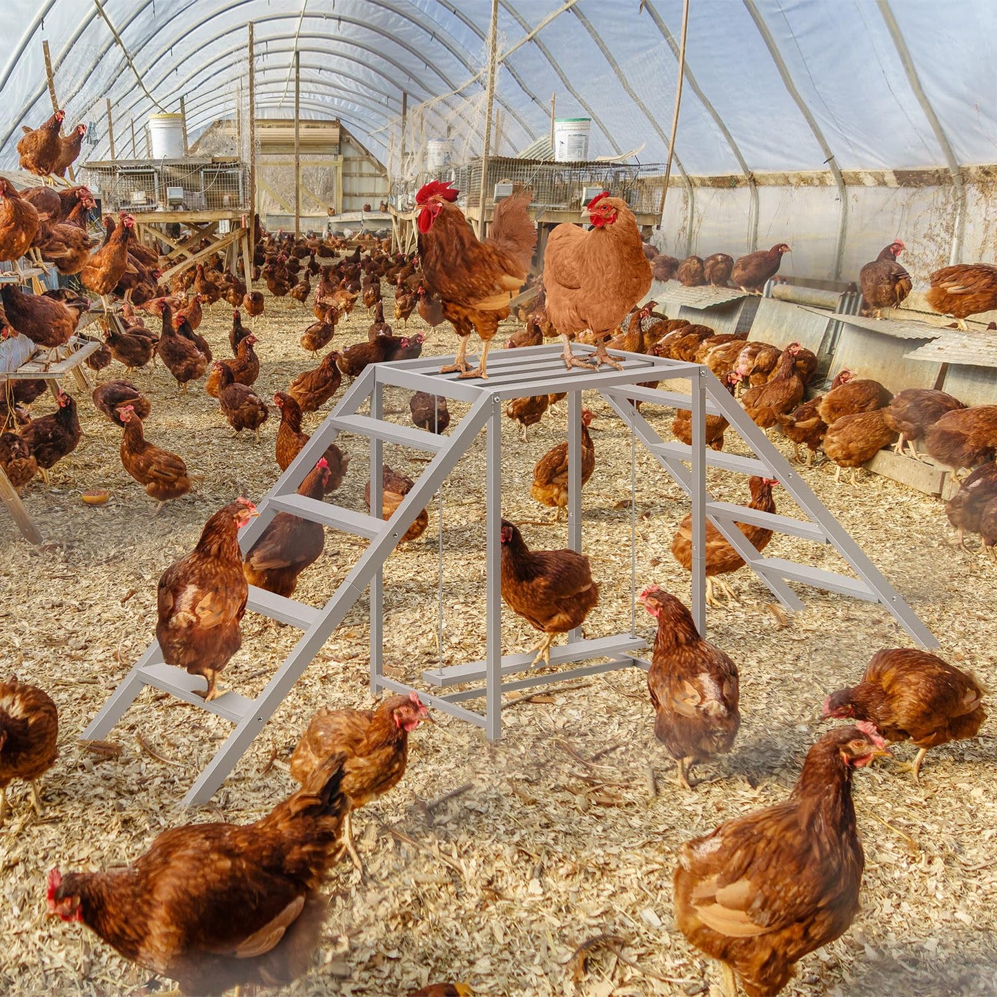 Chicken Coop, Chicken Perches with Swing, Chicken Roosting Bars, Chicken Run Accessories Toy, Wooden Chicken Ladder for Pet's Healthy & Happy, Sturdy and Easy to Clean, Suitable for Backyard Farm